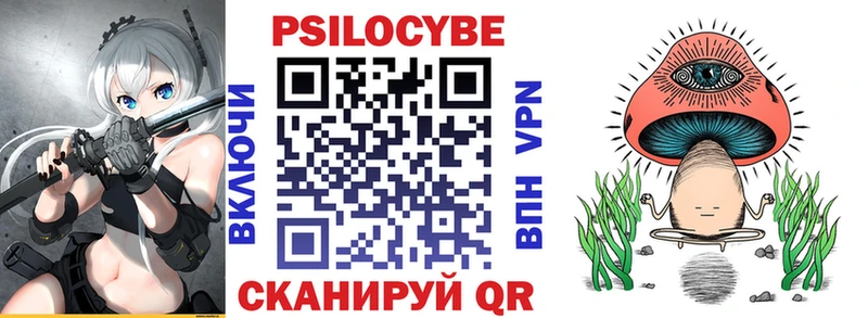 Псилоцибиновые грибы GOLDEN TEACHER  Купить закладки  Облучье 